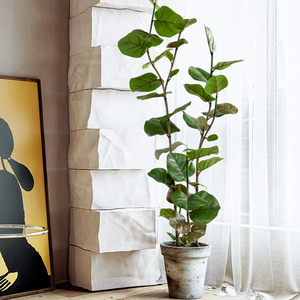 北欧ins仿真绿植盆栽海葡萄树植物家居室内落地大型摆件盆景装饰