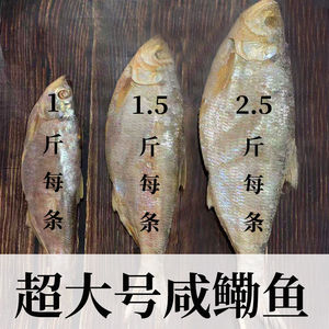 【1~3斤/条】特大号咸鳓鱼腌制白鳞臭霉香力鱼勒鱼干货山东特产