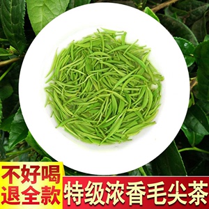 信阳毛尖2024新茶茶叶绿茶特级嫩芽散装毛尖茶初芽浓香型250g盒装