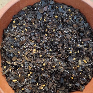 云南传统兰花植料莲瓣兰专用营养土堆积发酵腐熟高温杀菌科学配制