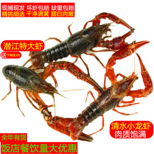 湖北潜江小龙虾鲜活水产3斤789生鲜淡水活虾食用清水新鲜超大龙虾