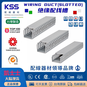 SD-2560台湾KSS 绝缘配线槽 密闭式 25mm宽X60mm高   2米/根
