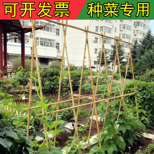 黄瓜豆角番茄爬藤架竹竿菜园搭架篱笆围栏小竹子防腐彩旗粗细竹杆