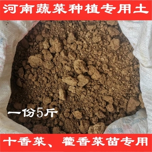 十香菜藿香薄荷等河南菜苗专用种植土 无肥料成分避免烧死菜苗