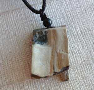 天然木化玉挂件硅化木原石树化石木化石吊坠新疆戈壁石金丝玉挂坠