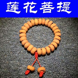 植物种子树籽佛珠莲花菩提手串文玩手链满包满齿苹果园包邮诚善缘