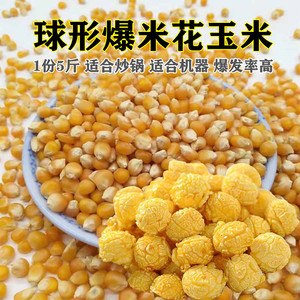 爆米花专用玉米粒球型爆米花玉米商用美式球豆球形玉米粒5斤包邮