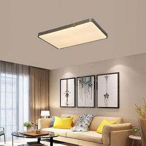 照明工业 led室内灯具 led吸顶灯 安居宝客厅灯