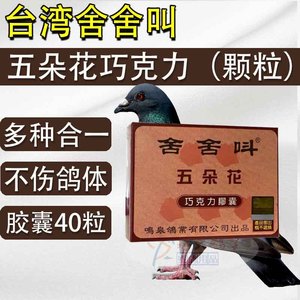 台湾舍舍叫【五朵花巧克力】胶囊40粒/鸽药/呼吸道毛滴虫球虫肠道