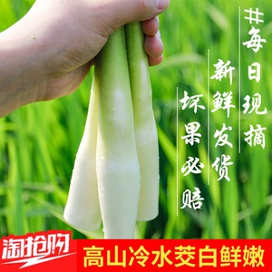特级新鲜农家茭白产妇月子下奶高笋水笋茭瓜时令蔬菜交白3斤包邮