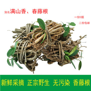 001人付款淘宝正品野生 黑骨藤 中药材 黒骨风 黑血风 乌春根 打春根