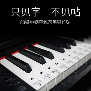 37键49键88键61键54键透明钢琴键位贴纸键盘贴五线谱音符贴电子琴
