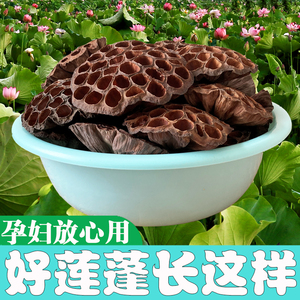 莲蓬干孕妇莲蓬壳食用莲房莲蓬头无硫莲子壳中药材食用去胎毒入药