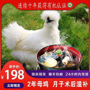 泰和白凤乌鸡有机农家散养草鸡乌骨鸡2年3-5年乌鸡正宗土鸡月子鸡
