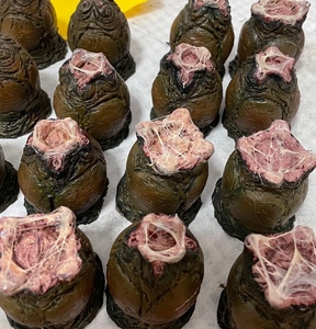 neca 麦克法兰 异形模型 异形蛋 搭配7寸人偶,还原电影造型.