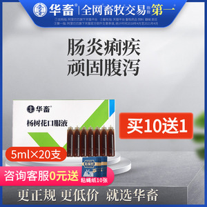 华畜杨树花口服液 兽药兔子牛羊鸡鸭仔猪拉稀痢疾兽用止痢散猪用