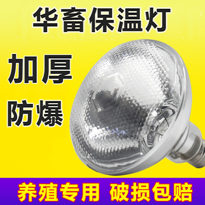 华畜250w兽用保温灯养殖场专用加厚取暖灯泡小鸡鸭仔猪舍用加热灯