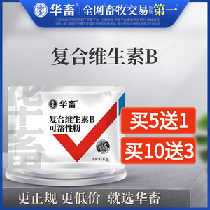 华畜兽用复合维生素b可溶性粉补充b维生素神经口腔炎病饲料添加剂