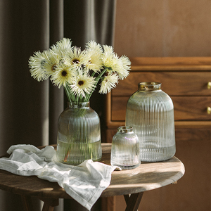 南十字星 轻奢金色竖纹透明玻璃花瓶客厅水培花器插花装饰摆件小