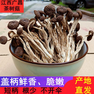 2024江西广昌茶树菇干货不开伞250g新鲜营养菌菇煲汤食材特产散装