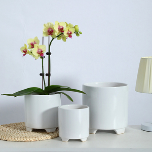 欧式陶瓷花盆高脚白色时尚花瓶简约个性创意合适仙人掌虎皮兰专用