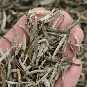 普洱银芽-淘宝拼多多热销普洱银芽货源拿货 - 阿里巴巴货源