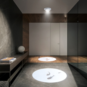 嵌入式射灯暗装天花板创意火锅店投影灯鱼过道灯走廊灯明装筒灯