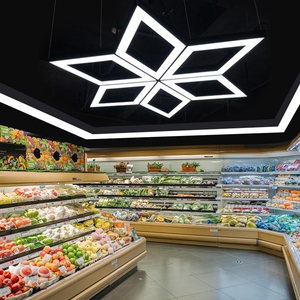 菱形吊灯led造型灯健身房网咖店铺商场办公室走廊过道工业风灯具