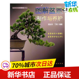 家庭园艺diy系列:图解盆景制作与养护 顾永华,丁昕 著作 心理健康生活