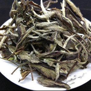 福鼎白茶白牡丹2018年荒野高山新中花香福建正宗古树野生散装茶叶