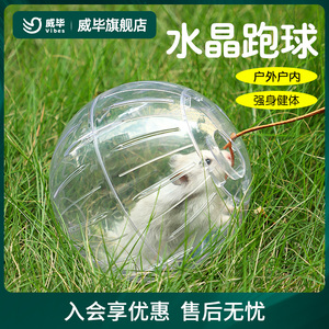 仓鼠水晶跑球跑轮滚轮金丝熊松鼠蜜袋鼯透明外带运动球遛鼠神器