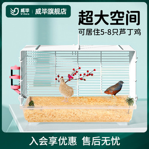 芦丁鸡宠物饲养箱幼鸡专用鸡笼子观赏养殖笼全套卢丁鸡的房子箱子