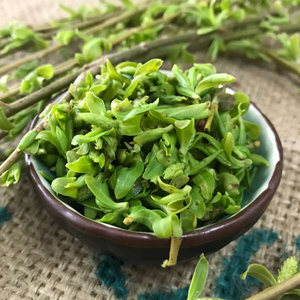 春季尝鲜食用新鲜柳树芽时令美味清脆爽口柳穗野菜产地直发200g