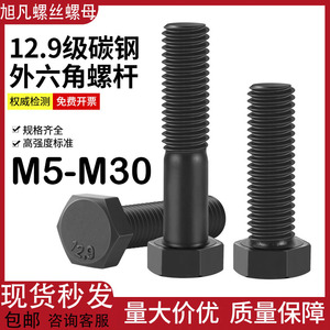 12.9级外六角螺丝高强度发黑六角头螺栓M5M6M8M10M12M14M16M18M30