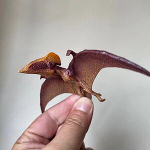 新款德国思乐儿童早教认知 翼龙 妖精翼龙 仿真恐龙模型