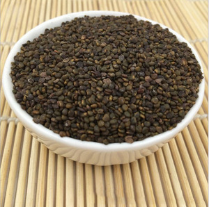 籽类中草药