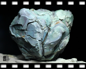 开片龟背冰裂龟裂阿拉善左旗戈壁 天然原石奇石玛瑙 z-35