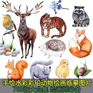 彩铅动物图片