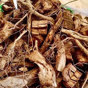 山胡椒根现采新鲜1斤木姜子根山鸡椒根腊梅柴树根香料香料调料