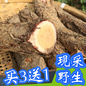 酸枣树皮 500克新鲜野生小山枣南酸枣仁根四眼果化郎果鼻涕果树皮