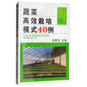 正版书籍 蔬菜高效栽培模式40例 张爱民农作物栽培大鹏蔬菜高效栽培种植技术大全植物病虫害防治蔬菜种植技术大全中国农业出版社