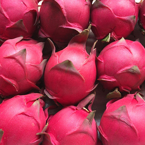 新鲜 广西金都一号蜜宝红心火龙果10整箱批发 红绣球当季时令水果