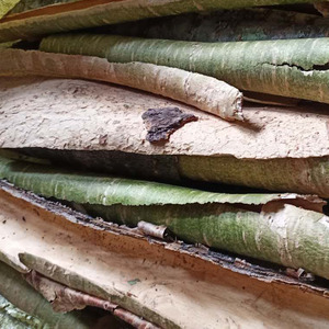 长白山野生暴马丁香树皮中药材东北暴马子皮500g包邮