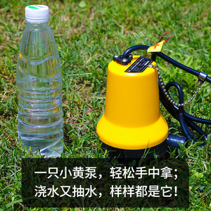 便携家用抽水泵电动自吸式浇菜小型浇水机直流电抽水机12v充电泵
