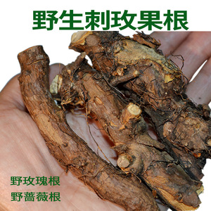 野蔷薇根