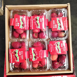 东北鸡心果5斤装特产甜心迷你苹果小苹果沙锦绣海棠新鲜孕妇水果