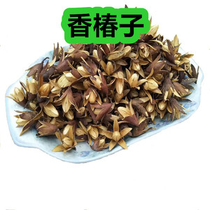 香铃子中药材 香椿子 500g克包邮香椿种子果实 香椿果籽 香椿树籽