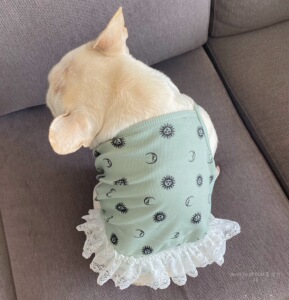 法斗裙子夏巴哥吊带裙宠物狗狗裙子夏季薄款背心胖狗衣服包邮