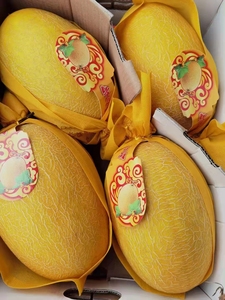 哈密瓜甜蜜瓜网纹瓜黄皮哈密瓜海南凤金6号一箱4枚单果4斤左右