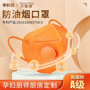 防油烟口罩厨师炒菜烧烤厨房二手烟异味孕妇专用防粉尘甲醛呼吸阀